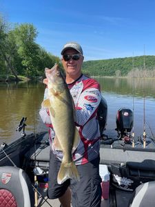 Walleye from Delevan Lake